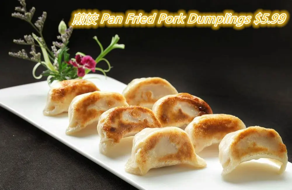 Crispy pan-fried pork dumplings at Chuanyu Fusion, a Chinese Restaurant in Oklahoma City